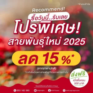 โปรพิเศษ!สายพันธุ์ใหม่ 2025 ลด 15%*