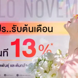 แจกโปร..รับต้นเดือน ลดทันที 13%