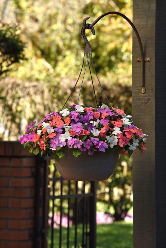 เทียนฝรั่ง บีค่อน Beacon - Image 4