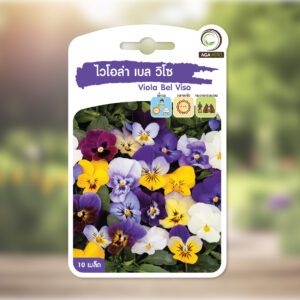 ไวโอล่า เบล วิโซ  Viola Bel Viso